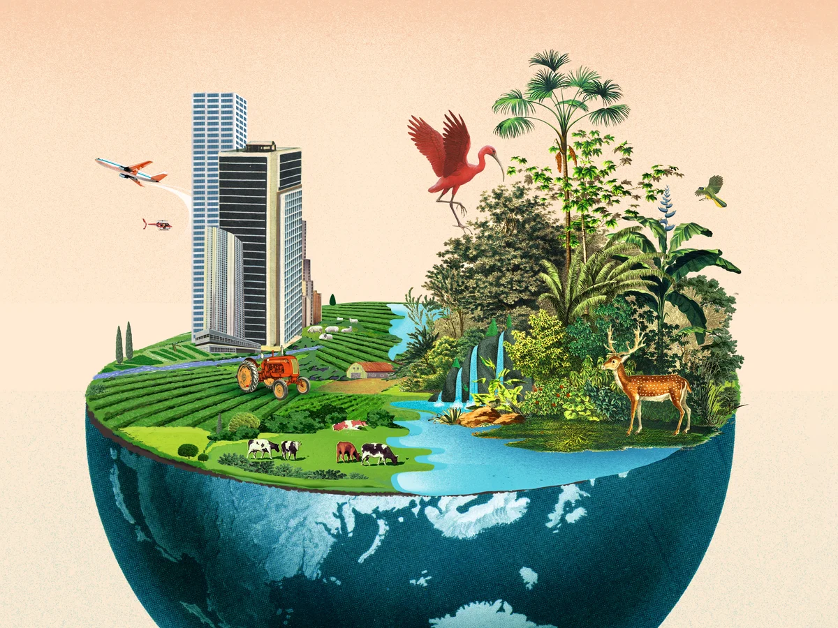Sustainable development